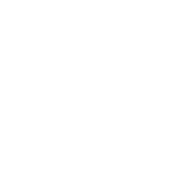 Rise